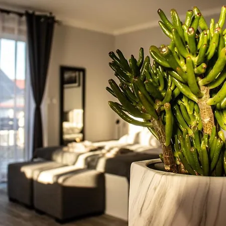 Appartement Alexandra Ii Miedzyzdroje