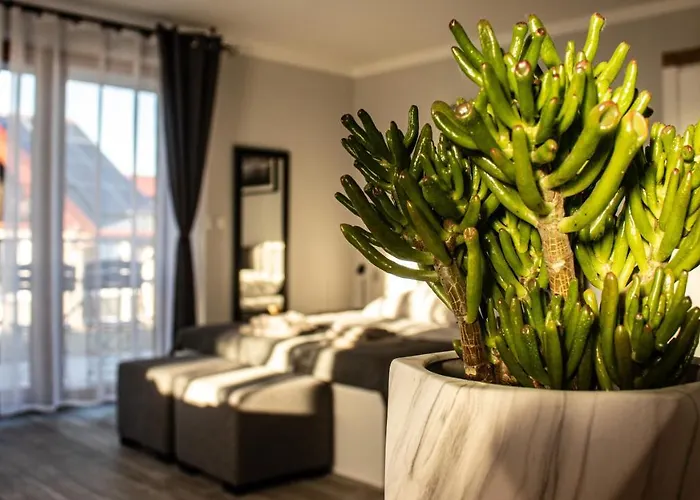 Апартаменты Alexandra Ii Мендзыздрое