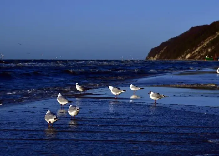 Апартаменты Alexandra Ii *