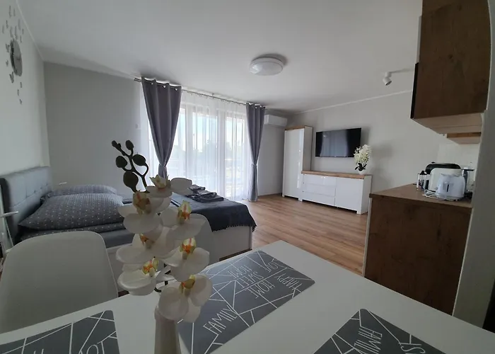 Апартаменты Alexandra Ii Мендзыздрое